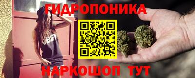СК Пугачёв