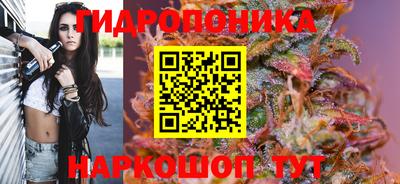 СК Пугачёв