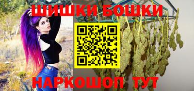 СК Пугачёв