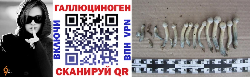 купить закладку  Тихвин  Псилоцибиновые грибы GOLDEN TEACHER 