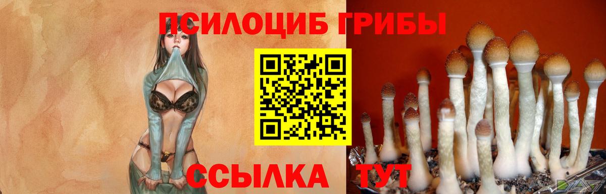 Псилоцибиновые грибы Magic Shrooms  Псилоцибиновые грибы мицелий  Тихвин  где купить наркоту  Вход с VPN 